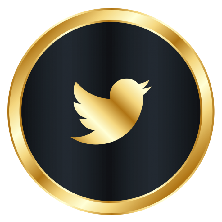 luxury-Twitter-Icon-PNG-715x715